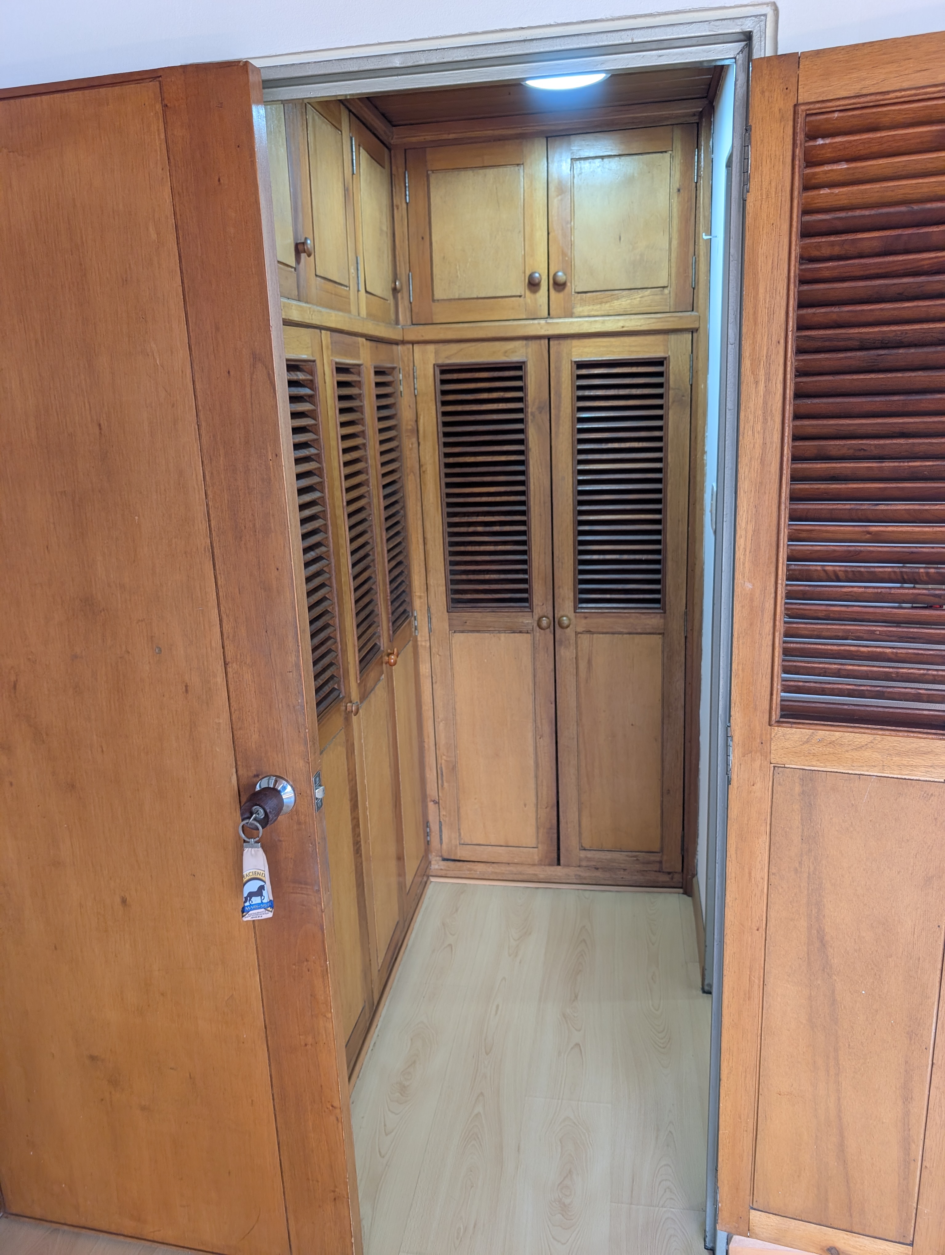 Master closet